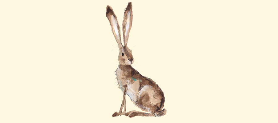 Hilary Hare